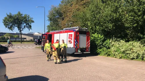 whatsapp image 2023 09 07 at 161316