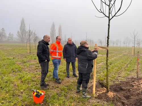 planten laatste boom boomgaard veghels buiten noordoost 5