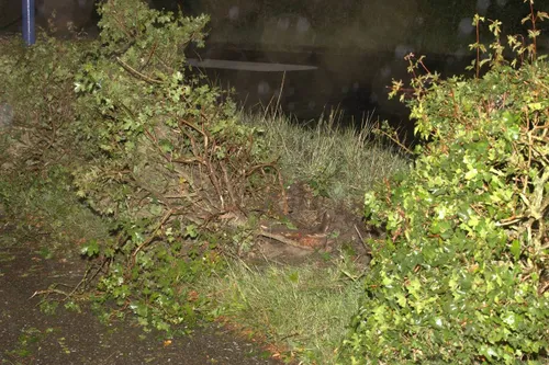 03-08-2025 Eenzijdig ongeval Veghel 03