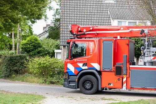 05-08-2025 Dier op hoogte Eerde 01