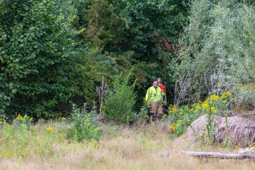 05-08-2025 Dier op hoogte Eerde 02