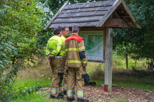 05-08-2025 Dier op hoogte Eerde 04