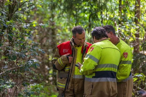 05-08-2025 Dier op hoogte Eerde 05