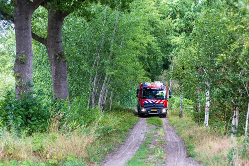 05-08-2025 Dier op hoogte Eerde 06