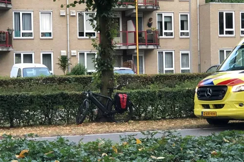 photo_2025-08-20_07-13-42