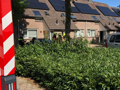 photo_2025-08-31_13-57-45