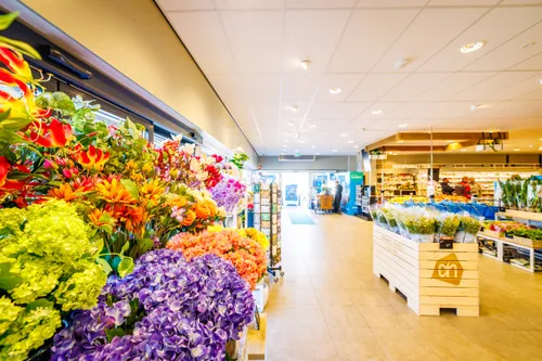 bloemen-enplantenafdelingalbertheijnveghel16september2025.fotondashalbertheijnthearrows