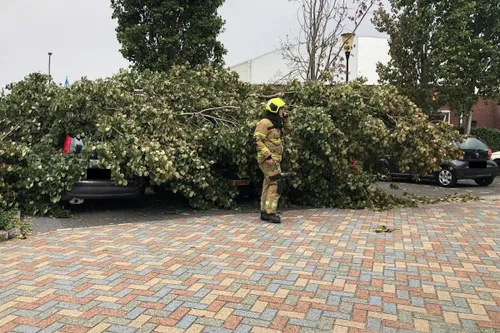 photo_2025-09-15_15-15-10