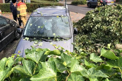 photo_2025-09-15_15-21-54