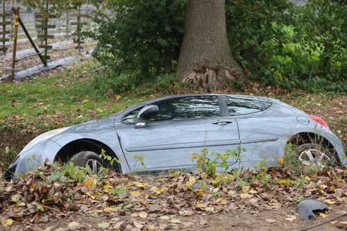 photo_2025-10-29_11-48-07