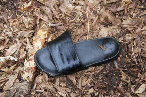 21-03-2026 Opschoondag Schijndel 2