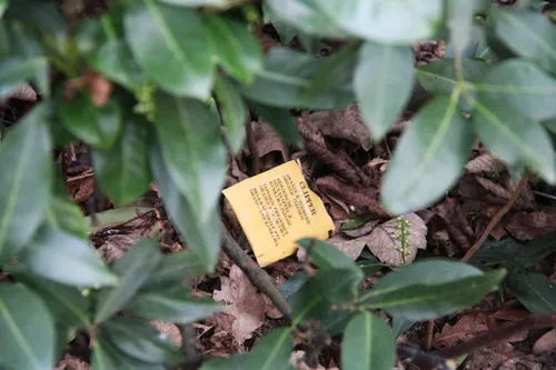 21-03-2026 Opschoondag Schijndel 3