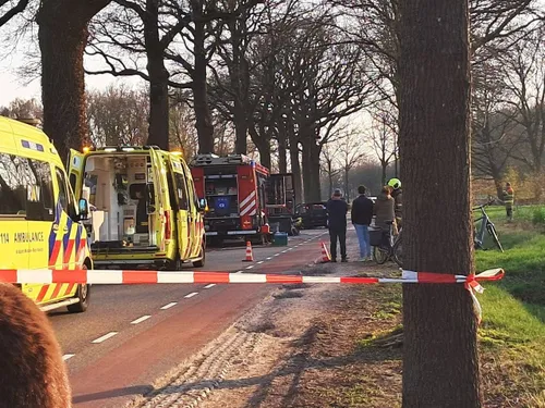 22-03-2026 Auto tegen boom Erp 07