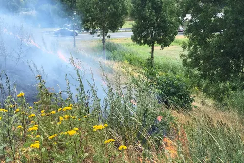 23-07-2026 Bermbrand Veghel 03