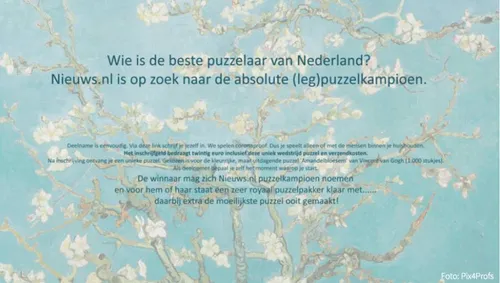 nieuwsnl puzzelaar