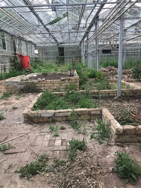 frederiksoord tuinbouwschooltuinkas2