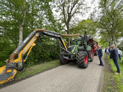 ruinen bermgras2 scaled