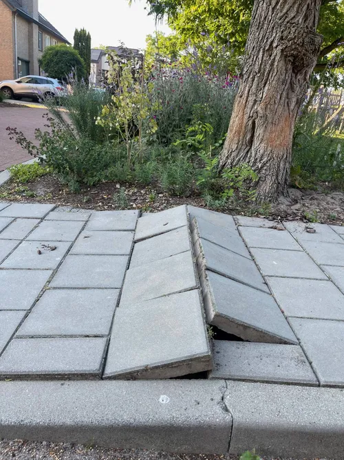 pn26062024 meppel tegels pieter lastmanstraat2