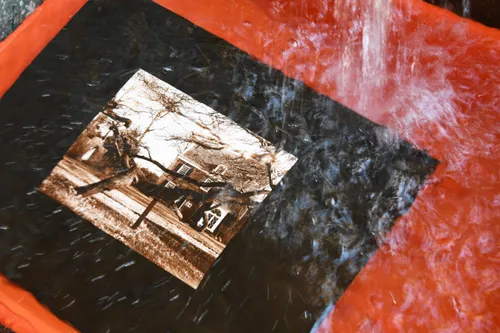 20210323 zundert betsy green jst0409