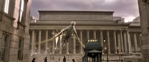 15021614 83288 still 12 s high