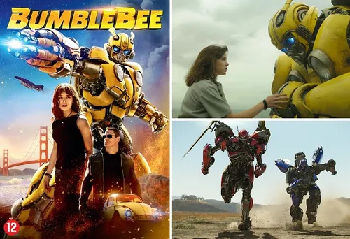 week201920 20bumblebee