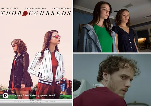 week203220 20thoroughbreds