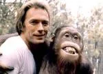 clint eastwood
