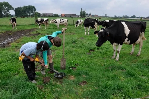 above us all 3d 12022043 st 3 s low