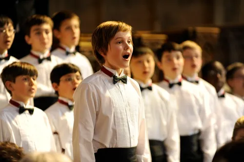 boychoir 43008831 st 5 s low