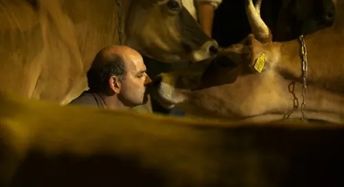 dansen20met20gehoornde20dames