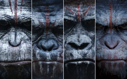 dawn of the planet of the apes 2014 wallpaper