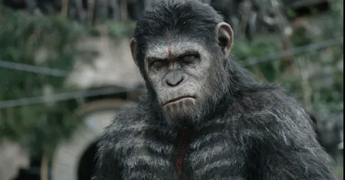 dawn of the planet of the apes 3d 56031537 st 10 s low