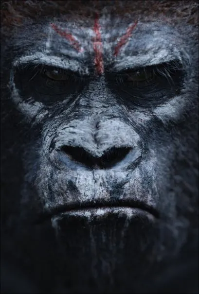 dawn of the planet of the apes 6