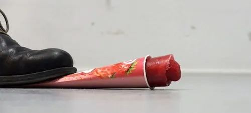 domestic20science200220201420c20annegien20van20doorn topcaroussellandscape