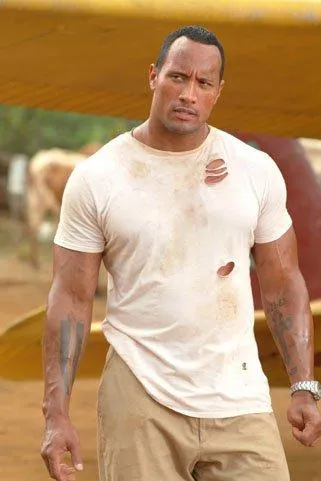 dwayne johnson