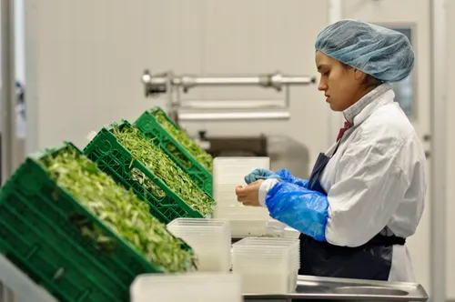 eat sleep die 26006364 st 3 s low