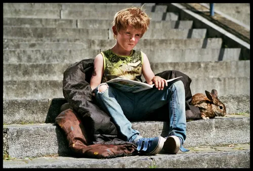 het leven volgens nino 58092644 st 2 s low