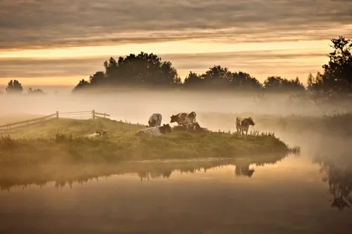 holland natuur in de delta 47042982 st 3 s low