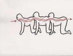 human centipede