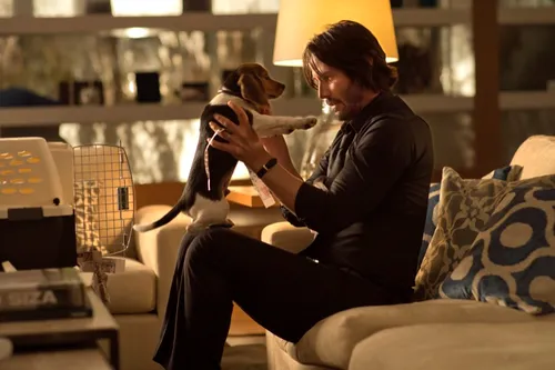 john wick 58092647 st 1 s low