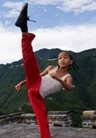 karate kid poster