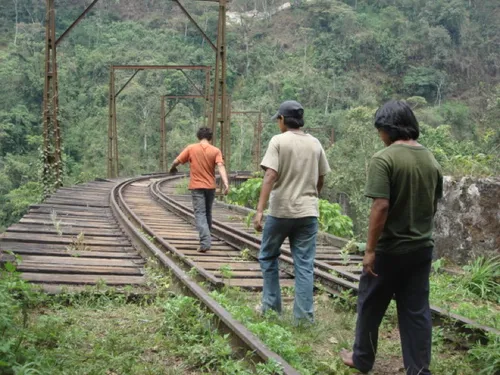 la jaula de oro 36000330 st 2 s low