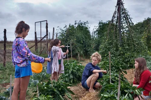 le meraviglie 26006403 st 5 s low