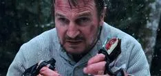liam neeson in the grey