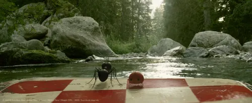 minuscule 20000224 st 5 s low