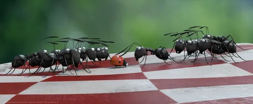 minuscule 20000224 st 8 s low