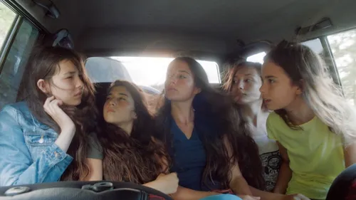 mustang 20000346 st 8 s low