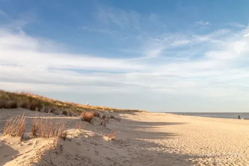 nva 20121229 8502 texel strand web