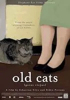 old cats poster