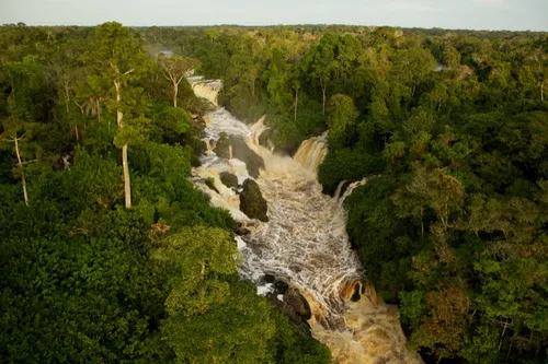 once upon a forest 67000079 st 6 s low